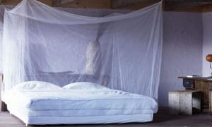 PRP Decorators - Mosquito Nets